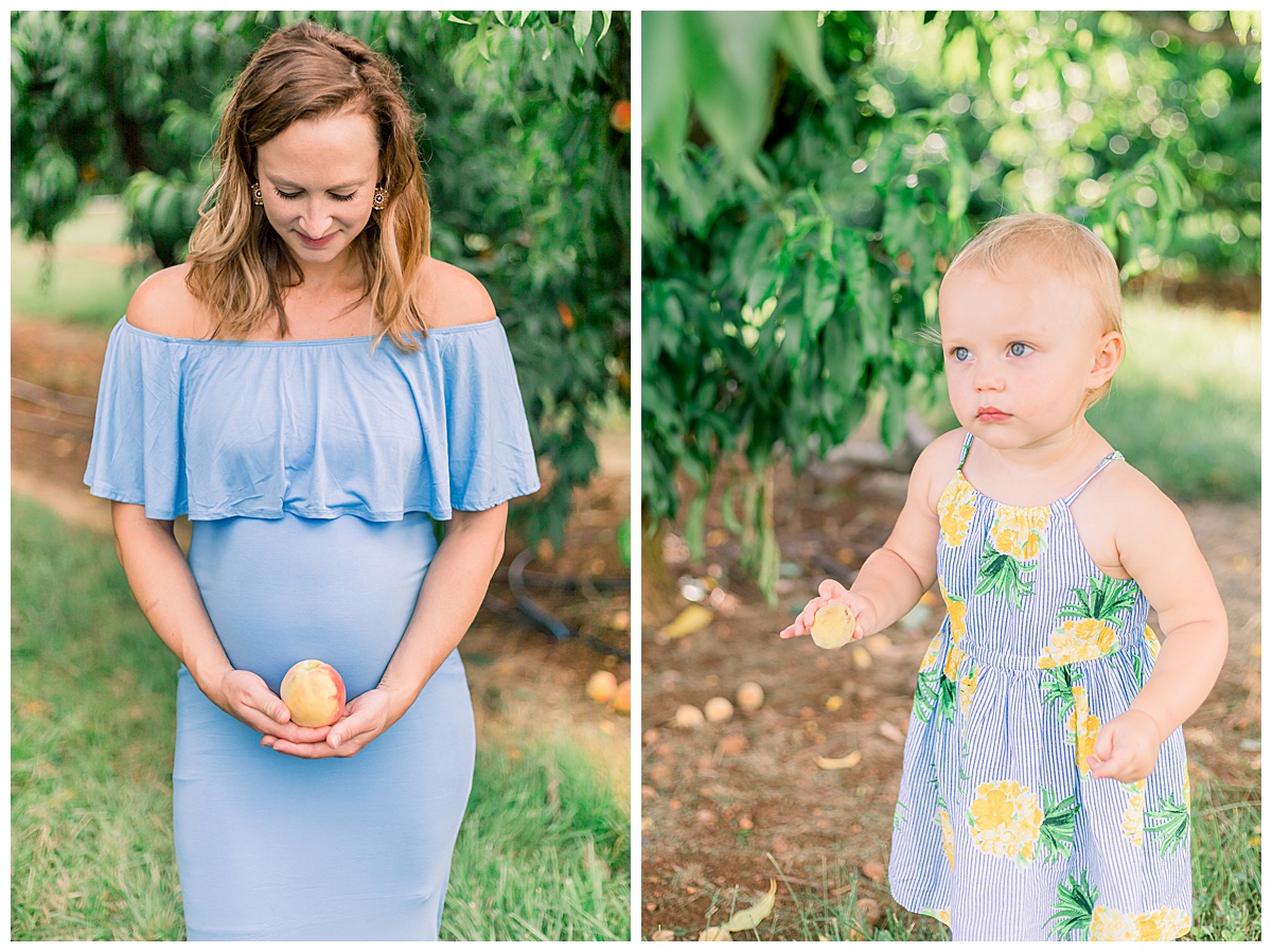 Orchard Maternity Session