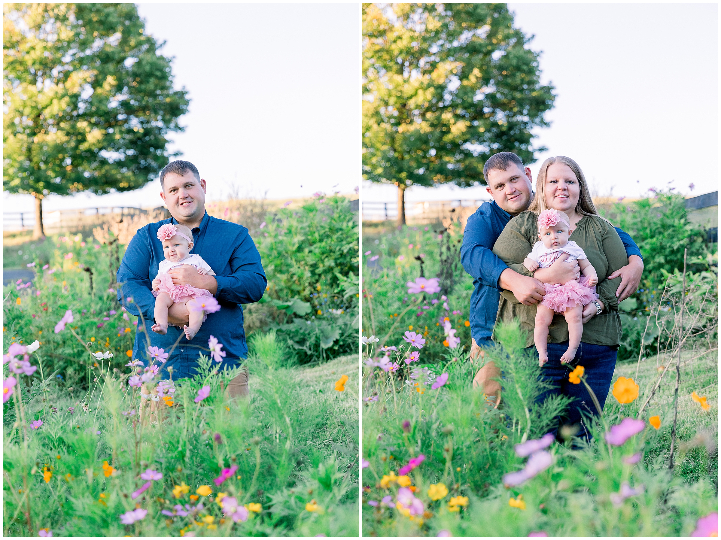 6 month session at Willow Spring Farm